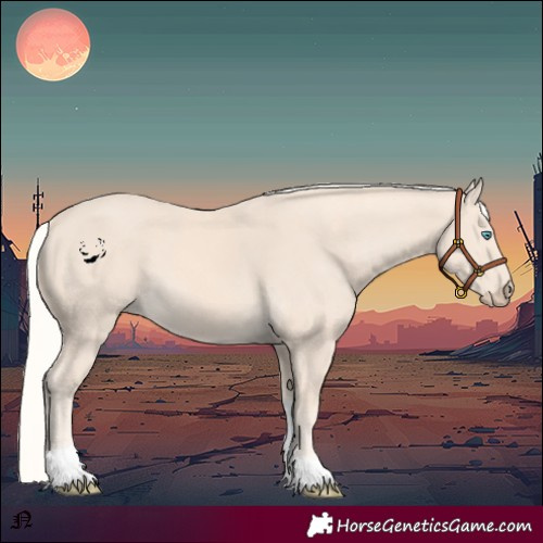 Horse Color:Cremello Tobiano 
