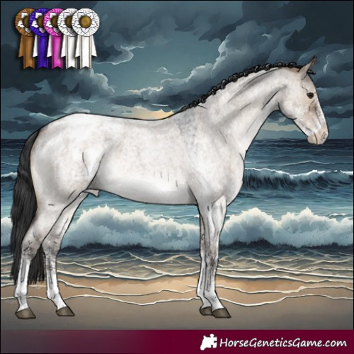 Horse Color:White Spotted Brown Roan Dun Varnish