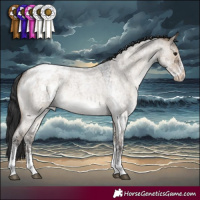 Horse Color:White Spotted Brown Roan Dun Varnish 