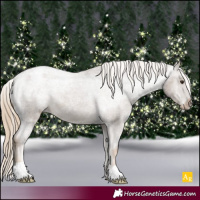 Horse Color:Chocolate Palomino Appaloosa