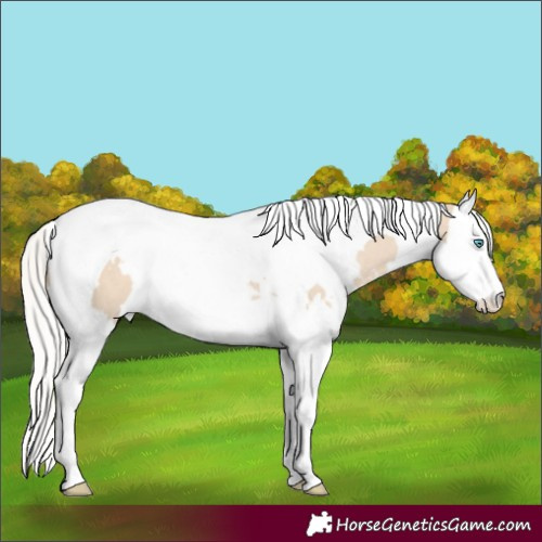 Horse Color:White Spotted Silver Smoky Creme Dun Splash Tobiano 