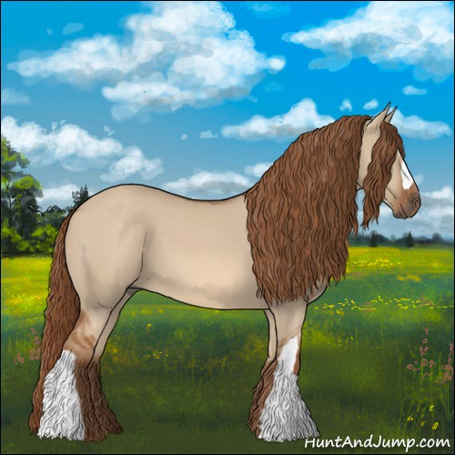 Horse Color:Red Dun