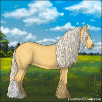 Horse Color:Palomino