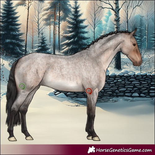Horse Color:Brown Roan Dun Brindle 