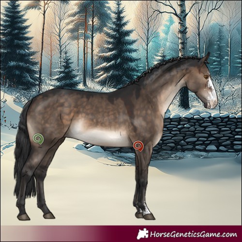 Horse Color:Brown Dun Sabino 