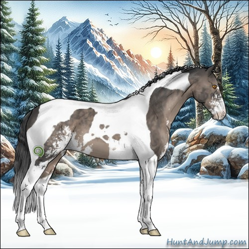 Horse Color:Black Sabino Tobiano 