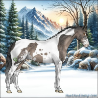 Horse Color:Black Sabino Tobiano