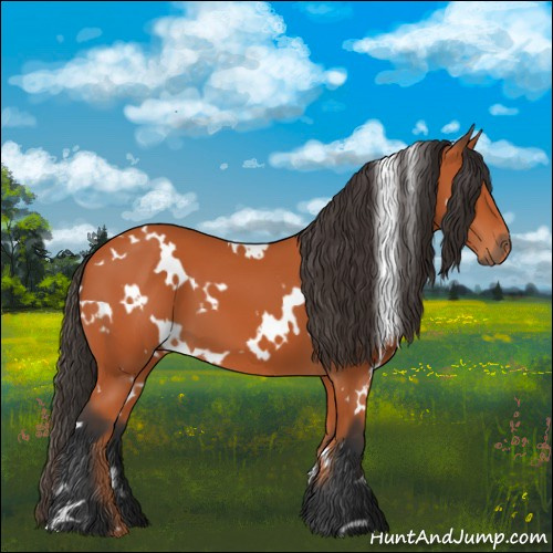 Horse Color:White Spotted Bay 