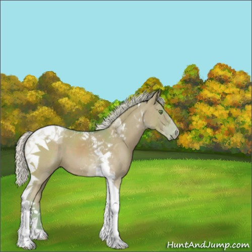Horse Color:Watercolor Silver Grullo Tobiano 