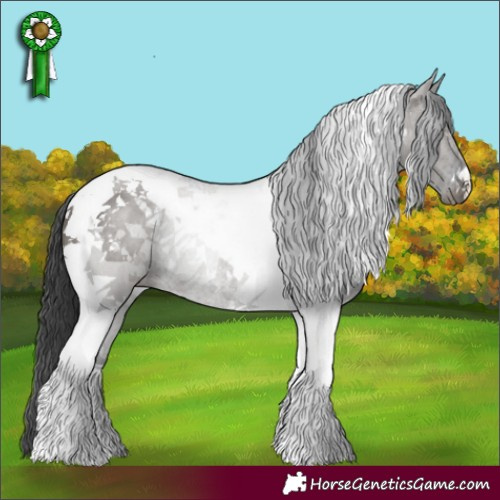Horse Color:Grullo Tobiano 