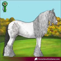Horse Color:Grullo Tobiano 