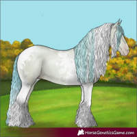 Horse Color:Watercolor Classic Champagne Dun Tobiano 