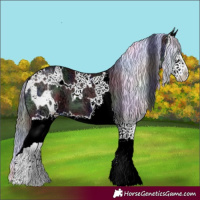 Horse Color:Nacre White Spotted Liver Chestnut Ice Splash