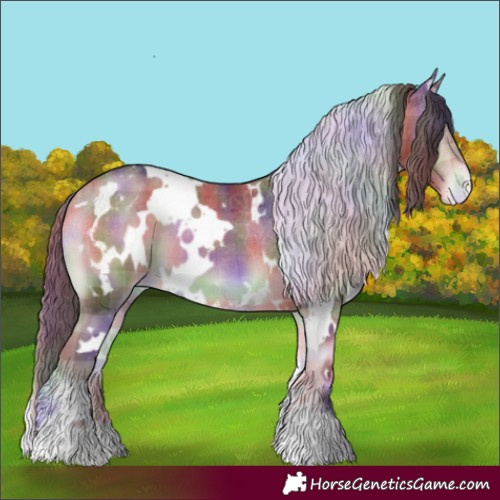 Horse Color:Nacre Plaid  White Spotted Bay Onyx Appaloosa 