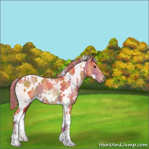 Horse Color:Nacre Watercolor White Spotted Chestnut 