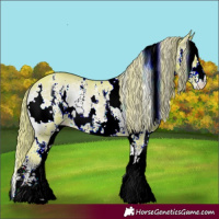 Horse Color:Watercolor White Spotted Liver Red Onyx Ice Sabino