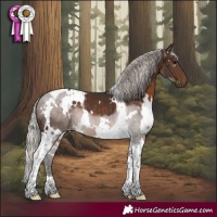 Horse Color:White Spotted Silver Brown Tobiano 