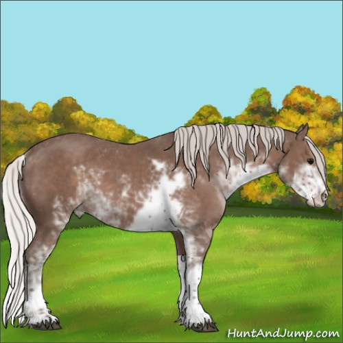 Horse Color:Silver Black Sabino 