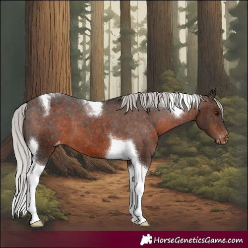 Horse Color:Silver Brown Tobiano Varnish