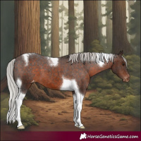 Horse Color:Silver Brown Tobiano Varnish 