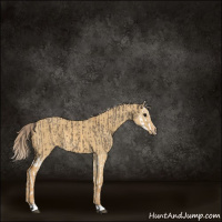 Horse Color:Smoky Grullo Splash and Palomino Dun