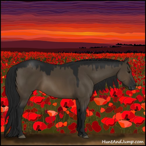 Horse Color:Gray Brown Dun 