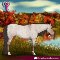 Horse Color:Classic Champagne Roan Dun Rabicano