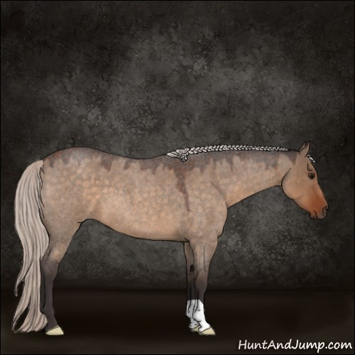 Horse Color:Silver Brown Roan Dun 
