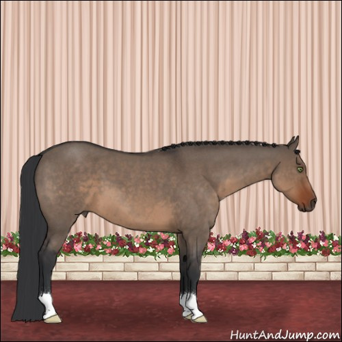 Horse Color:Brown Roan Dun 