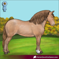 Horse Color:Brown Pearl
