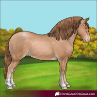 Horse Color:Chestnut Pearl 