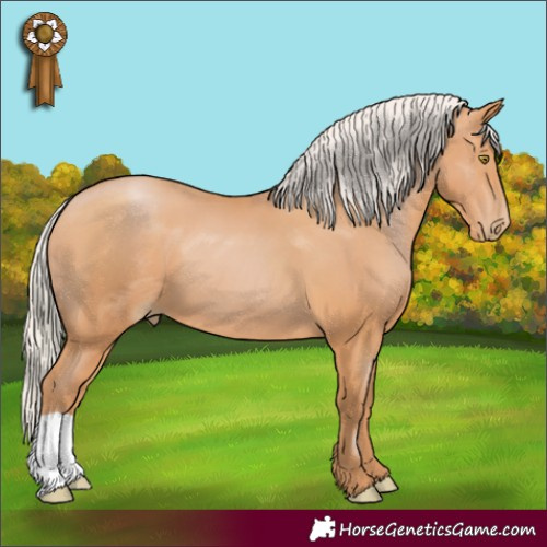 Horse Color:Silver Bay Pearl 