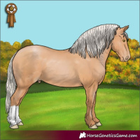 Horse Color:Silver Bay Pearl