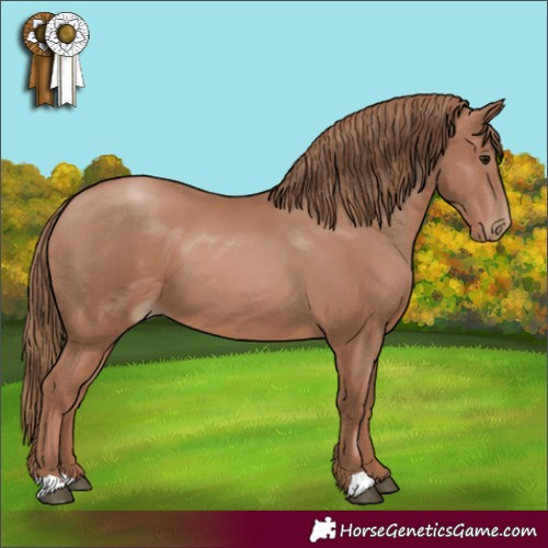 Horse Color:Black Pearl 