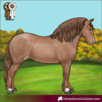 Horse Color:Black Pearl 