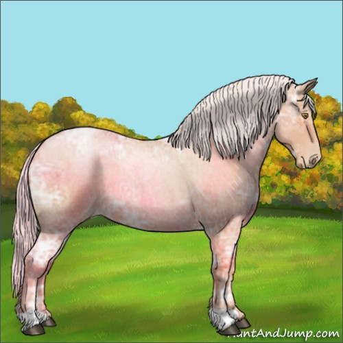 Horse Color:Silver Bay Ice Roan Pearl