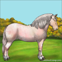 Horse Color:Silver Bay Ice Roan Pearl 