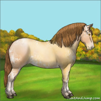 Horse Color:Bay Ice Roan Pearl Rabicano 