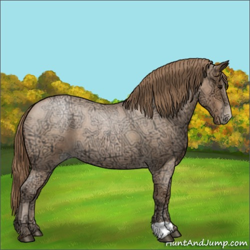 Horse Color:Blue Ice Roan Pearl