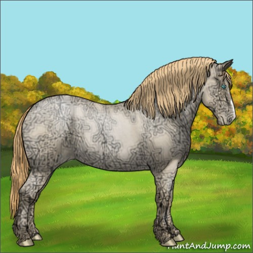 Horse Color:Smoky Blue Ice Roan Pearl 