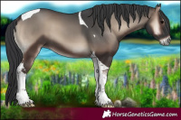 Horse Color:Blue Onyx Tobiano 