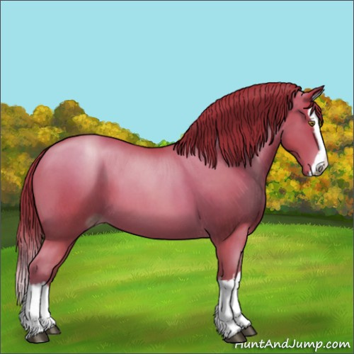 Horse Color:Brown Roan Pearl Splash