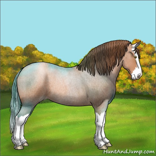 Horse Color:Brown Roan Pearl Splash 