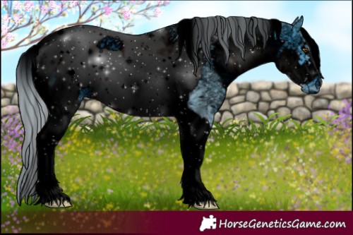 Horse Color:ERROR: UNKNOWN ANOMALY