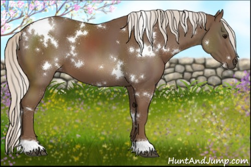 Horse Color:White Spotted Chocolate Silver Smoky Black 