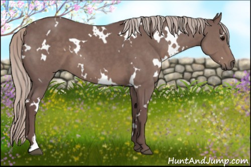 Horse Color:White Spotted Chocolate Silver Black 