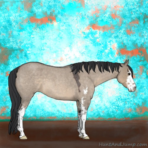 Horse Color:Brown Roan Dun Sabino 