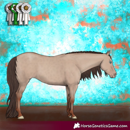 Horse Color:Classic Champagne Dun 