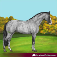 Horse Color:Blue Roan Sabino Splash  and Blue Roan Sabino Splash 