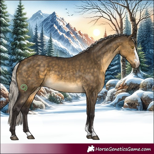 Horse Color:Silver Buckskin Dun Sabino 